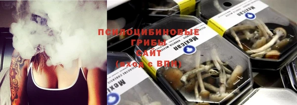гидра Абдулино