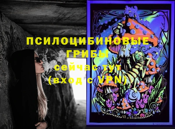 бошки Абаза