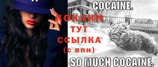бошки Абаза