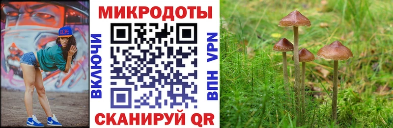 Галлюциногенные грибы Psilocybe  как найти закладки  Приморско-Ахтарск 